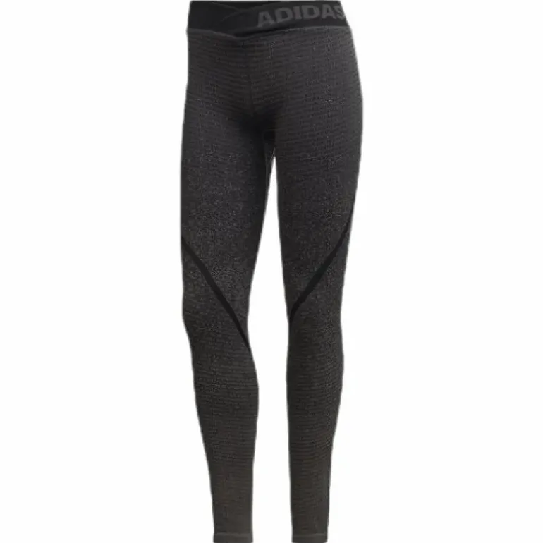 Alphaskin 360 Long Tights Grey