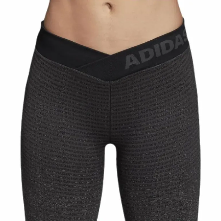 Alphaskin 360 Long Tights Grey
