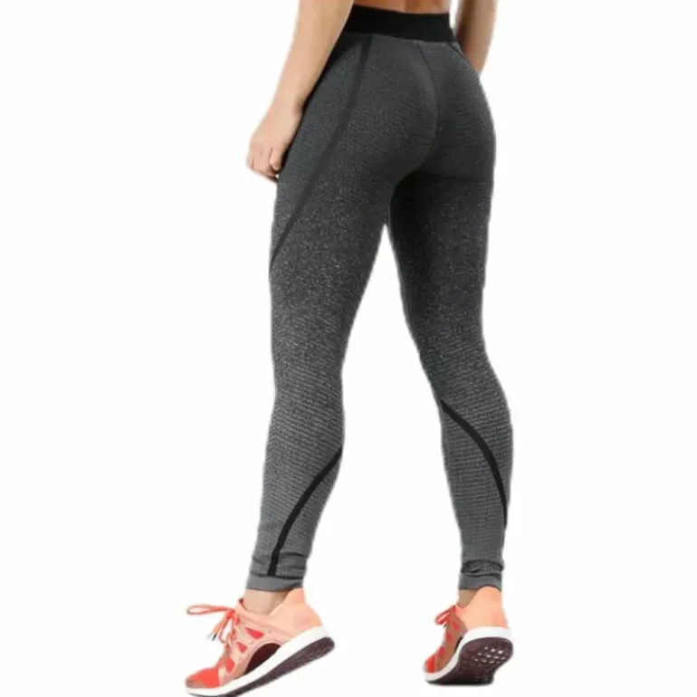 Alphaskin 360 Long Tights Grey