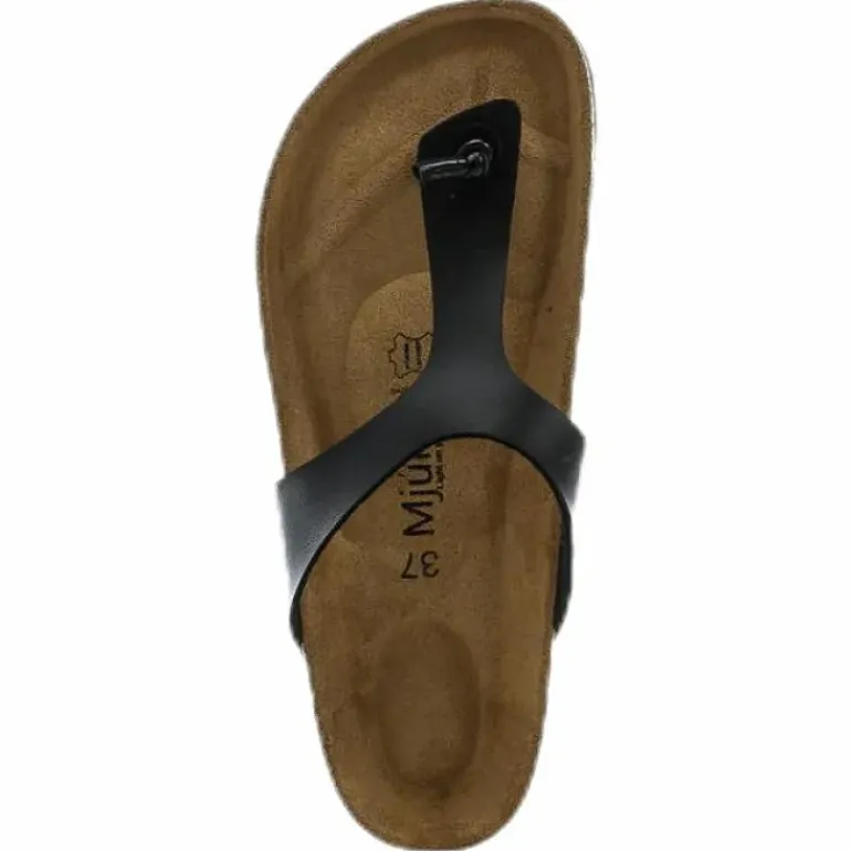 Birkir Black