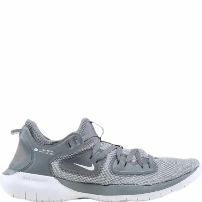 Flex 2019 Run White/Grey
