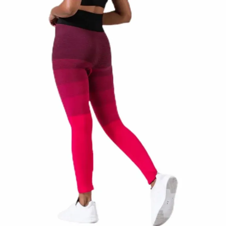 Gradient Seamless Tights Pink