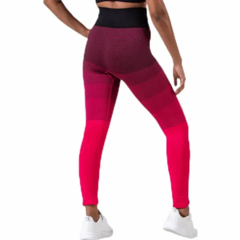 Gradient Seamless Tights Pink