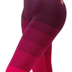 Gradient Seamless Tights Pink