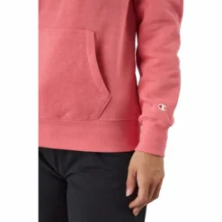 Hooded Sweatshirt Ps171