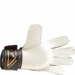 King 4 Black/Gold