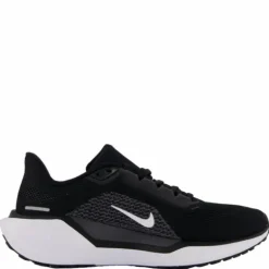 Nike Pegasus 41 Women