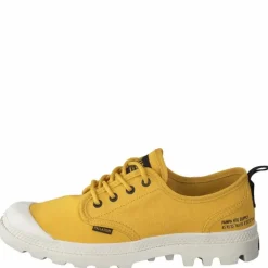 Pampa Ox Htg Supply Spicy Mustard