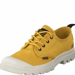 Pampa Ox Htg Supply Spicy Mustard