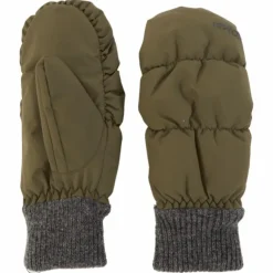 Pillow Ws Mitt Fern