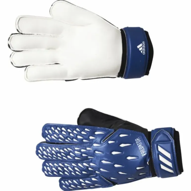 Pred Gl Trn Team Royal Blue / White / Black