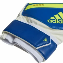 Predator Training Blue/Yellow
