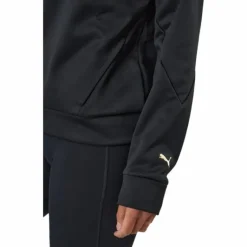 Puma Fit Tech Knit Po Hoodie Puma Black-metallic Gold