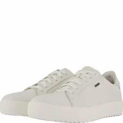 Rex Turin Gtx White