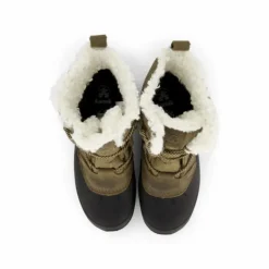 Snowgem Lo Fossil