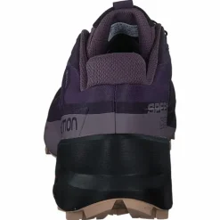 Speedcross 5 Gtx W Mysterioso/quail/sirocco