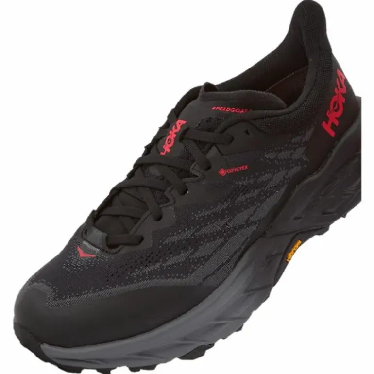 W Speedgoat 5 Gtx Ice Black / Black