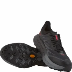 W Speedgoat 5 Gtx Ice Black / Black