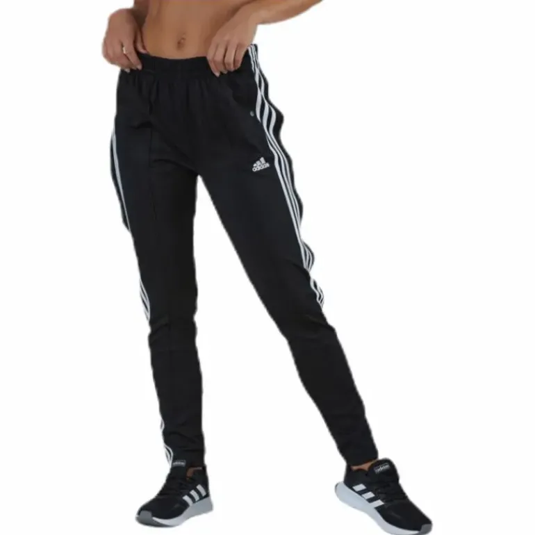 Womens Must Haves Snap Pant Black