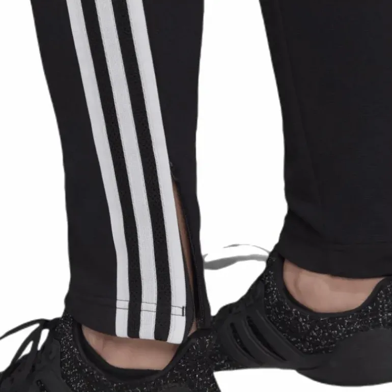 Zne Pant Black